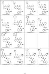 Figure imgf000115_0001