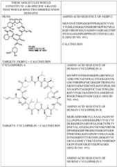 Figure imgf000493_0001