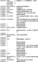 Figure BDA0000057170160000781