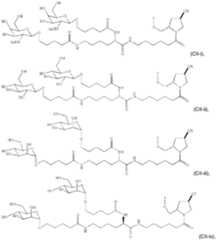 Figure imgf000066_0001