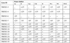 Figure imgf000051_0001