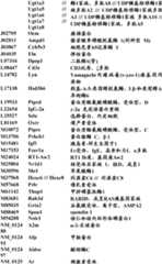 Figure BDA0000057170160001391