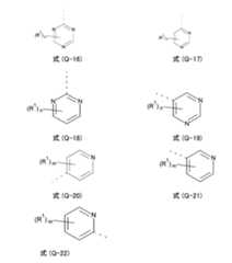 Figure 0007402800000004