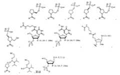 Figure 2023500681000040