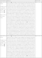 Figure imgf000060_0001