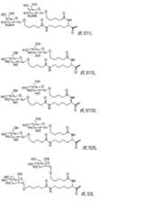 Figure 0007101748000009