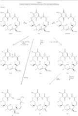 Figure US06734211-20040511-C00008