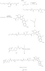 Figure US08420086-20130416-C00010