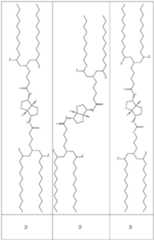 Figure imgf000091_0001