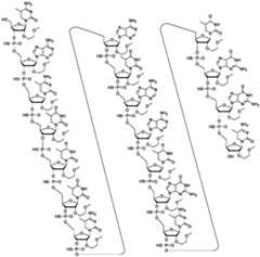 Figure FDA0003817829460000091