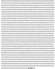 Figure 2024542085000023