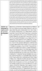 Figure BDA0002508391090001111