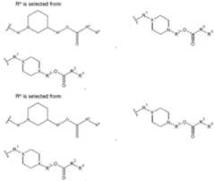 Figure imgf000005_0001