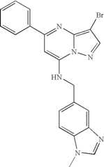 Figure US07119200-20061010-C01299