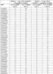 Figure BDA0003189799940000341