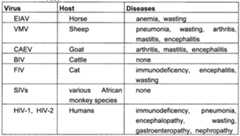 Figure imgf000008_0001