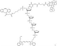 Figure BDA0003670511740003551