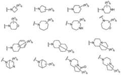 Figure imgf000026_0003