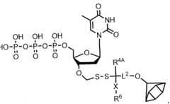 Figure imgf000260_0001