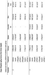 Figure imgf000016_0001