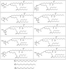 Figure imgf000015_0001