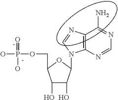Figure US09233141-20160112-C00090