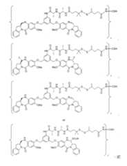 Figure 104128985-A0202-12-0128-123