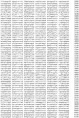 Figure IDA0002536600790000891