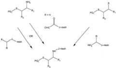 Figure imgf000052_0001