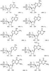 Figure imgf000135_0001