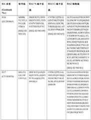 Figure BDA0004089703340000841