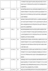 Figure BDA0004113681710000391