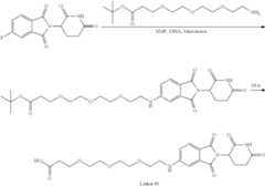 Figure US11969472-20240430-C00257