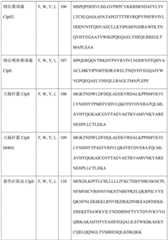 Figure BDA0004113681710000501