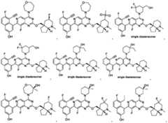 Figure imgf000029_0002