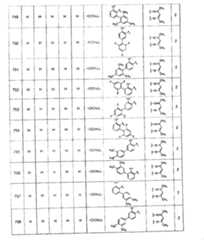 Figure A20081018956901331