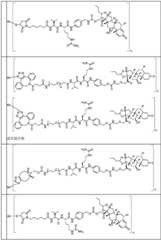 Figure BDA0002889616220001511