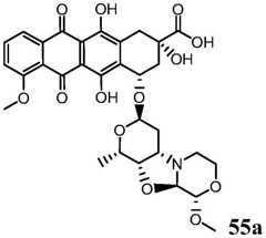 Figure BDA0001242050620001261