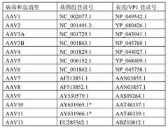 Figure DEST_PATH_IMAGE012