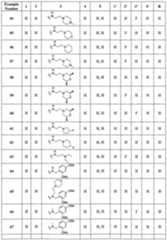 Figure imgf000032_0001