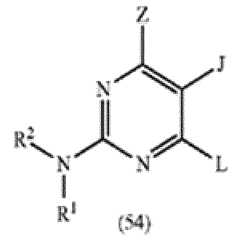 Figure imgf000096_0001