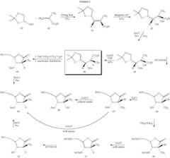Figure US07601820-20091013-C00007