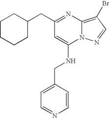 Figure US07119200-20061010-C01247