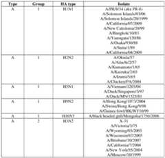 Figure imgf000057_0001