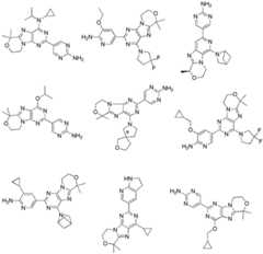 Figure FDA0002486010530000191