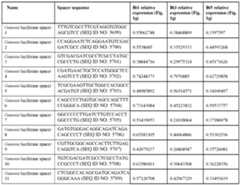 Figure imgf000574_0002