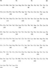 Figure A200780016674D00411