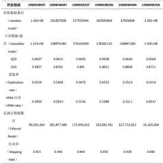 Figure BDA0002229286830000081