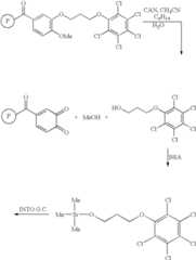 Figure US06936477-20050830-C00036