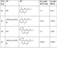 Figure A200780042755D00741